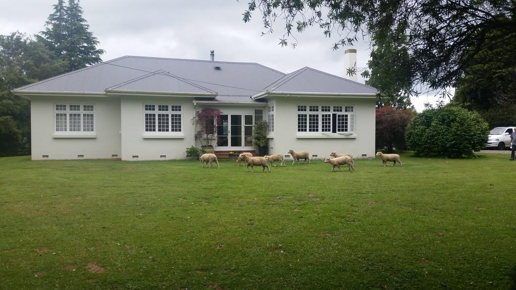 Homestead B&B Cambridge Luaran gambar