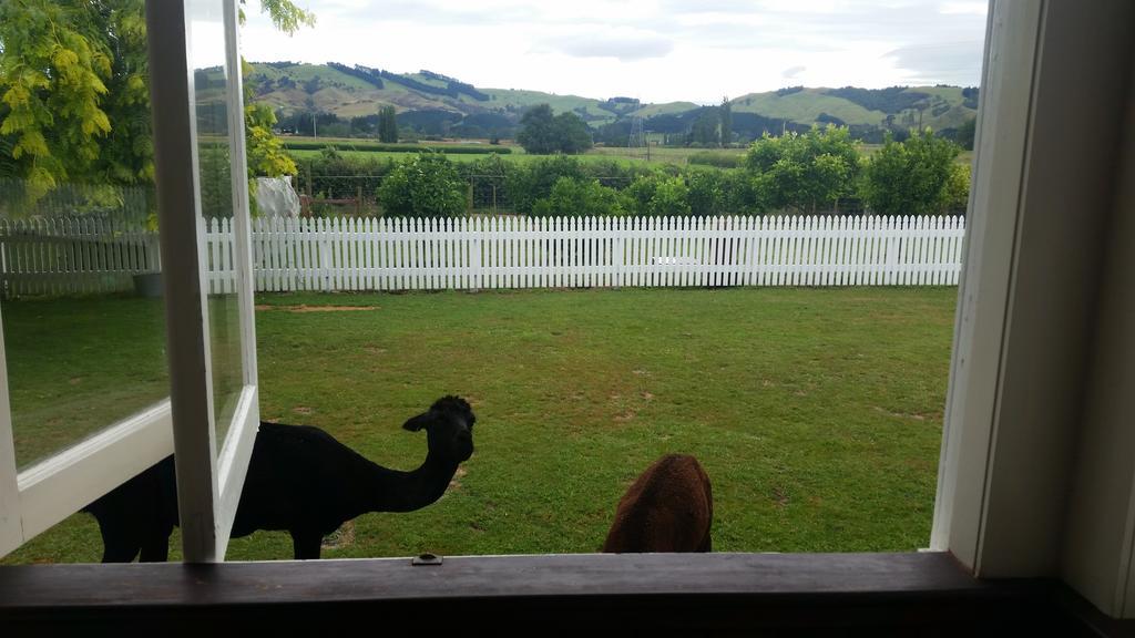 Homestead B&B Cambridge Luaran gambar