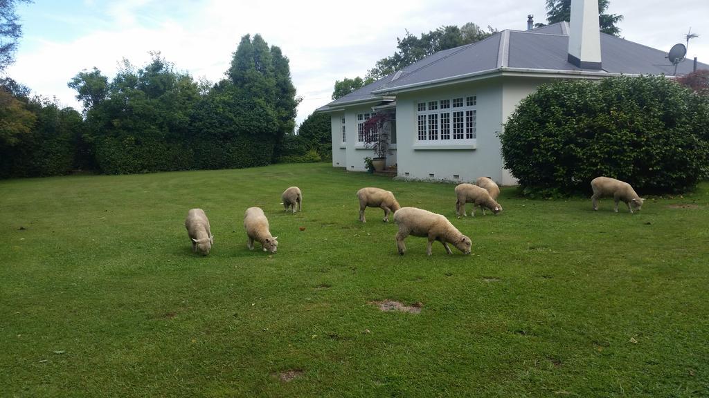 Homestead B&B Cambridge Luaran gambar