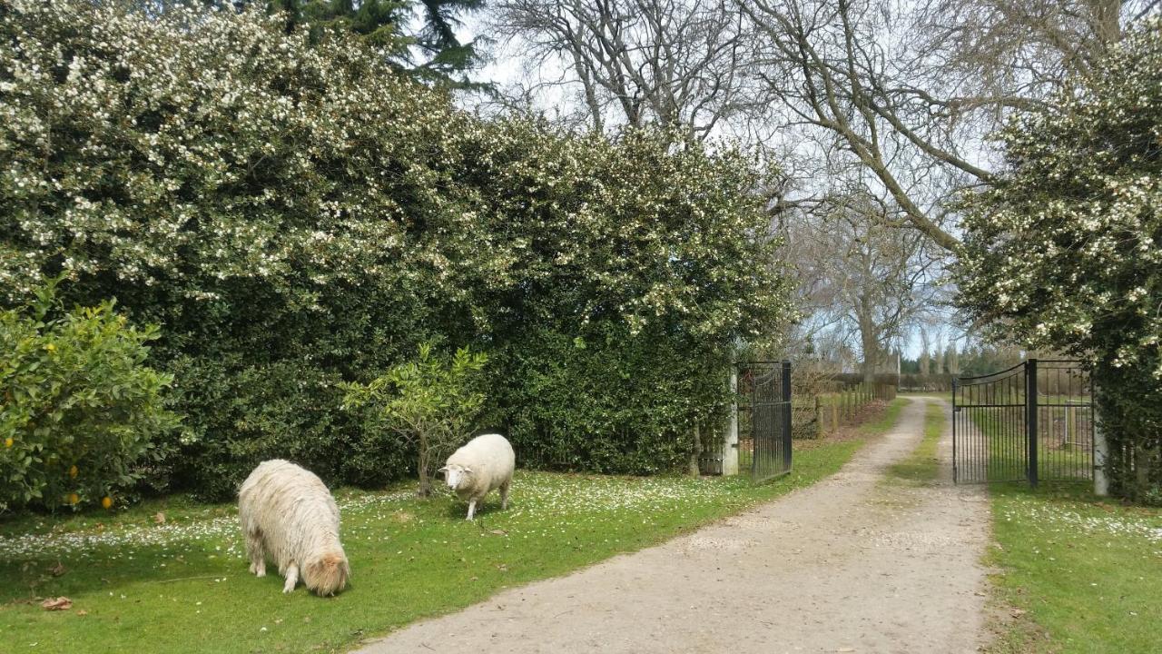 Homestead B&B Cambridge Luaran gambar